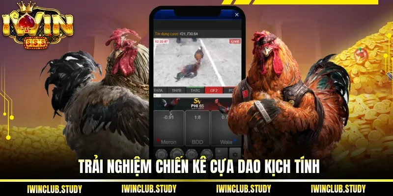 Trải nghiệm chiến kê cựa dao kịch tính